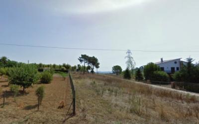 Terreny a Sant Feliu de Buixalleu